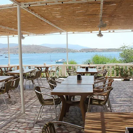 Akvaryum 3* Gümbet