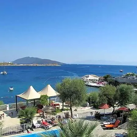 Akvaryum Gümbet
