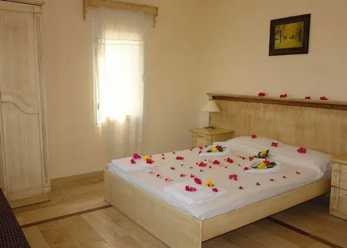 Akvaryum Гумбет